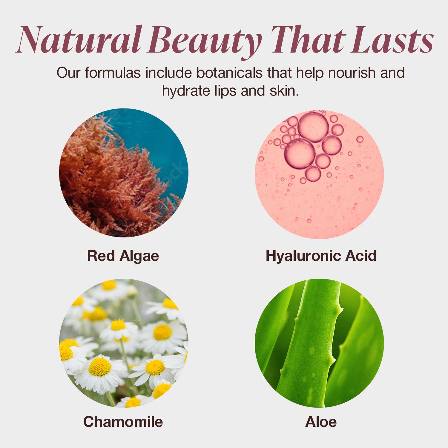Lip and Cheek Stain ingredients
